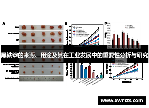 黑铁锭的来源、用途及其在工业发展中的重要性分析与研究