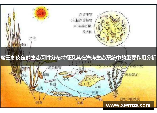 霸王刺皮鱼的生态习性分布特征及其在海洋生态系统中的重要作用分析